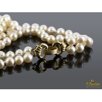 Collar de perlas con cierre en oro amarillo.