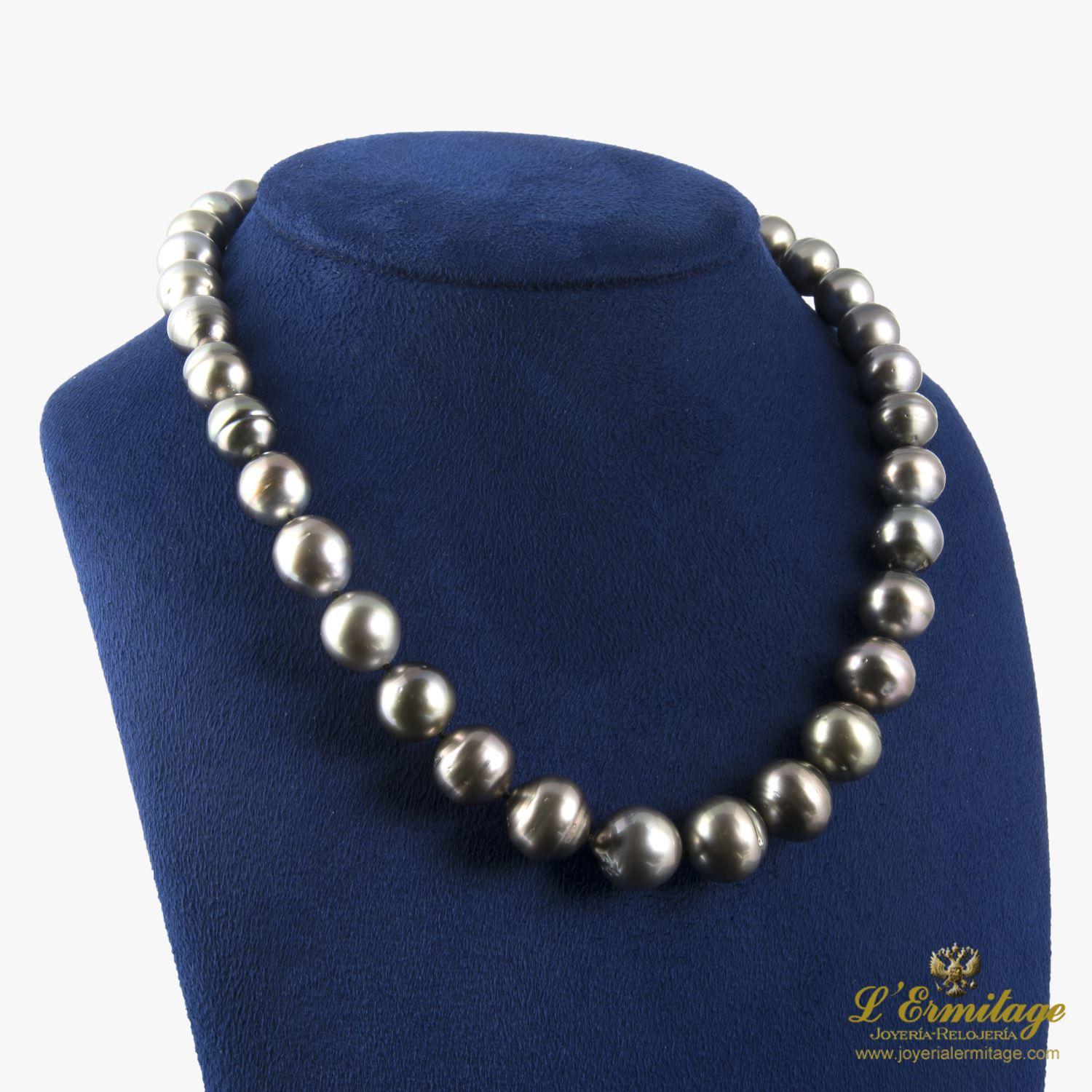 Collar perlas negras tahití en degrade
